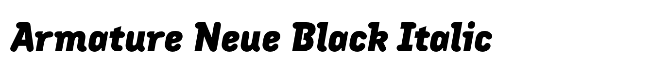 Armature Neue Black Italic